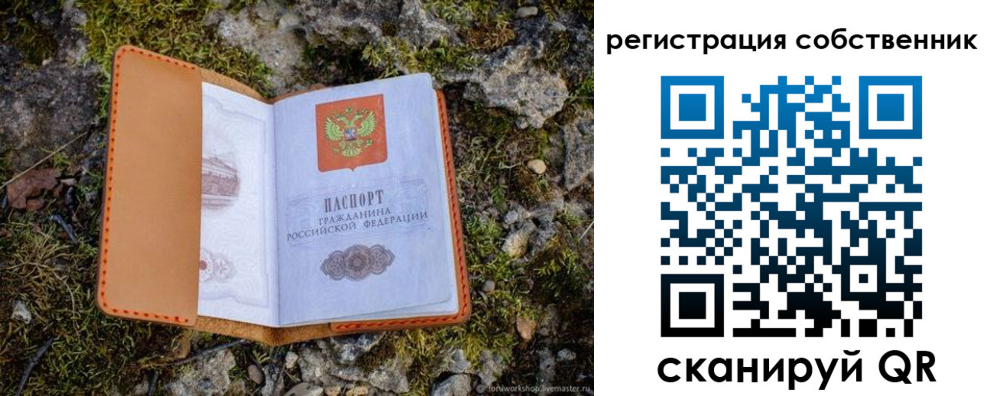 прописка поиск в Амурской области